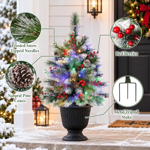Set of 2 Outdoor Christmas Tree with LED Lights 25.6 Inch Frosted Pine Decor