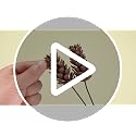 Cedar Branch Stem - Christmas Cedar Norfolk Snow Pine Outdoor Decor - 18Pcs