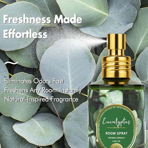 Eucalyptus Room Spray 2-Pack – Natural Odor Eliminator & Fabric Freshener
