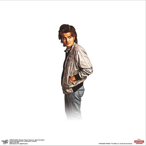 Gallery Pops Netflix Stranger Things: Season 4 - Steve Harrington Canvas Wall Art, Unframed Version, 12" x 12" Gallery Pops Canvas Wall Art