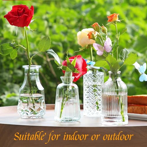 Clear Glass Bud Vases Bulk Set of 30 - Small Vases for Centerpieces