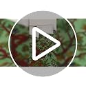 Green Tree of Life Tapestry Wall Hanging - 100% Cotton (85x90 Inch)