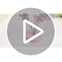 Pink Cherry Blossom Photo Tree Stand with 8 Clips for Desk Display