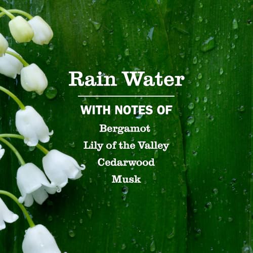 Rain Water Scented Oil Plug-In Air Freshener Kit with Warmer & Glass Refill