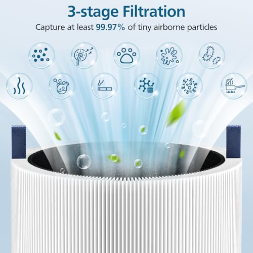 Replacement Air Purifier Filter True HEPA and Activated Carbon 2 Pack
