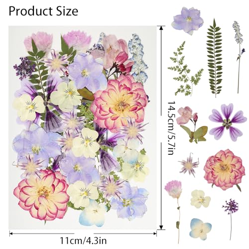 50-Piece Real Dried Pressed Flowers Kit with Tweezers for Resin Crafting