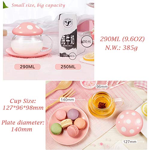Rain Shops Orange Mushroom Tea Cup Set with Infuser & Saucer - Cute Glass Tea Mug for Loose Leaf Tea & Coffee