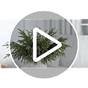 32Pcs 18"Lifelike Touch Artificial Norfolk Pine Branches for Vase
