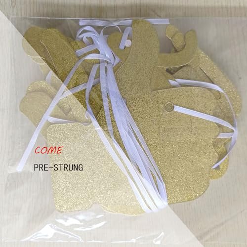 Woohoo You Did It Graduation Banner - Pre-Strung Gold Glitter 2024 Decor