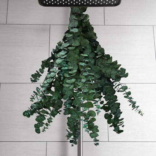 12 PCS Preserved Eucalyptus Stems for Shower, 17-Inch Natural Dried Greenery