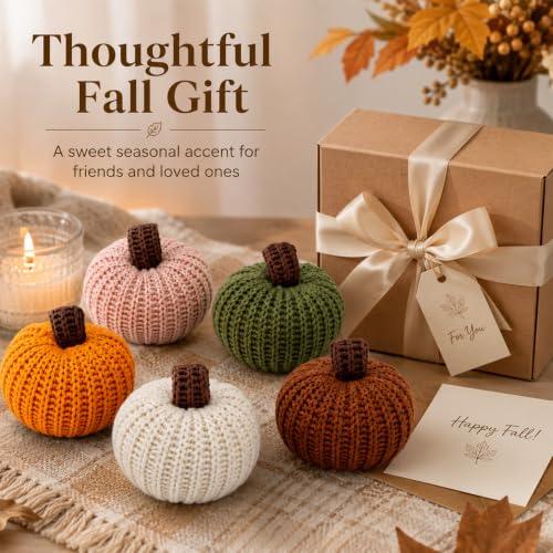 Mini Knitted Pumpkin Decor Set - Fall Autumn Table Centerpiece, Halloween & Thanksgiving Home Accent