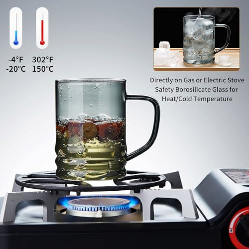 Unbreakable Modern Glass Tea Cup with Infuser & Lid 14.5oz Heat-Resistant Borosilicate