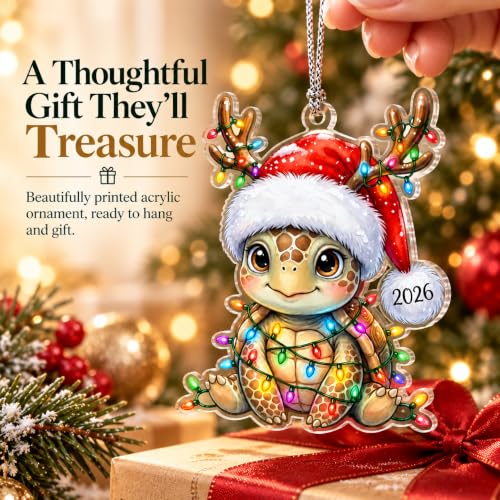 Mailamcraft Sea Turtle Santa Ornament 2026 – Funny Christmas Decorations for Women
