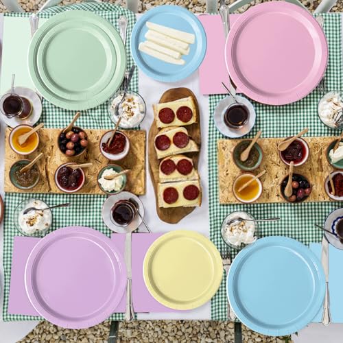 Oigco Pastel Paper Plates and Napkins Set - Rainbow Party Decorations, 60 pcs, Birthday Baby Shower Wedding