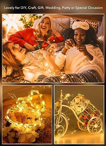 Brightown 12 Pack 7ft Battery Operated LED Fairy Lights Warm White