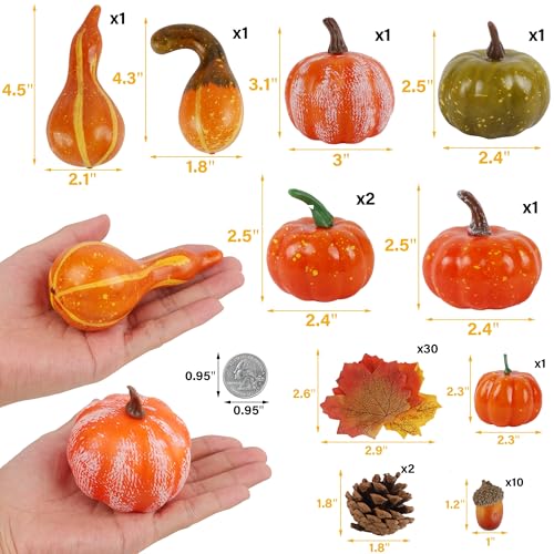 Fall Decorations Set with Mini Pumpkins, Gourds & Leaves - 50 Pieces