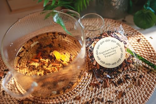 Stove Top Simmering Potpourri Kit - 10 All-Natural Dried Fruit & Spice Blends