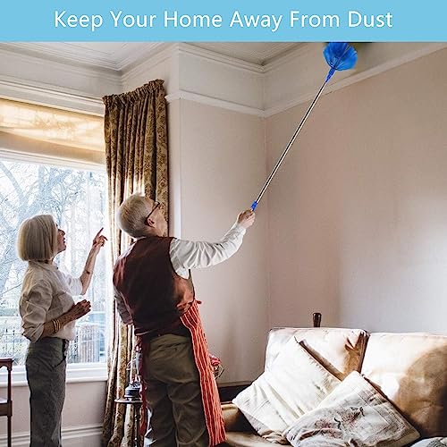 Cobweb Duster with 15-100 Inch Extension Pole & 3 Washable Heads