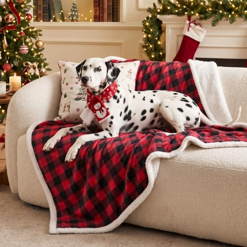BEDELITE Red & Black Buffalo Plaid Sherpa Throw Blanket 50x60 | Reversible Flannel