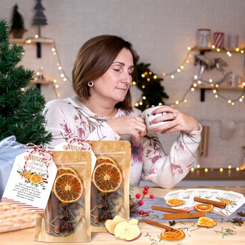 Christmas Simmer Pot Gift Set with Dried Fruits & Spices - 6 Pack