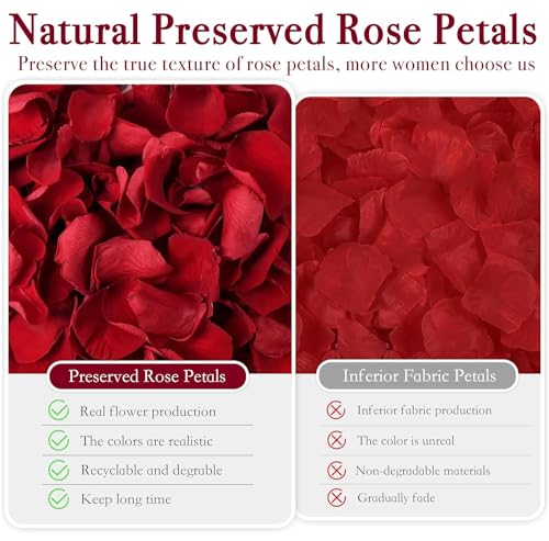 180 Real Preserved Red Rose Petals for Romantic Decor and Wedding Confetti
