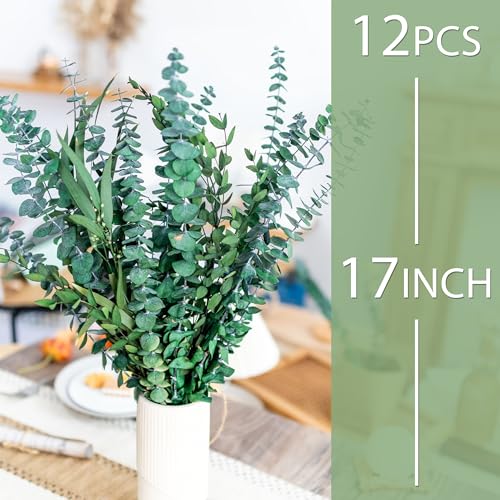 12PCS Natural Dried Eucalyptus Stems for Shower and Home Decor
