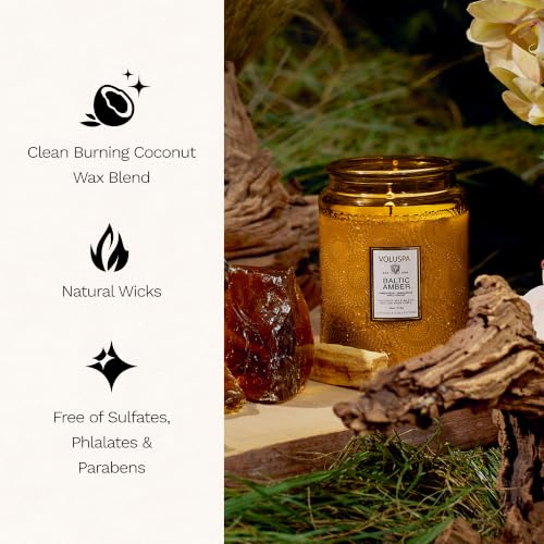Baltic Amber Scented Candle Jar 18 oz - 100 Hour Burn Coconut Wax Blend