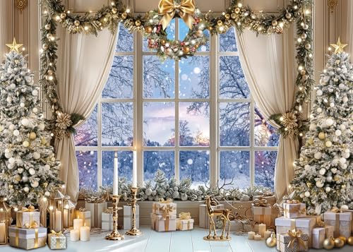 JSHENGZHYI 10x8FT Christmas Window Backdrop White Winter Snow Forest Scene Photo Background