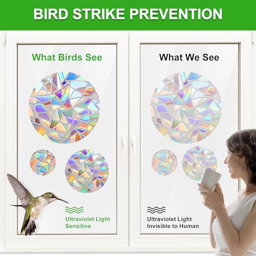 Rainbow Window Decals for Bird Strikes - 35 Anti-Collision Clings