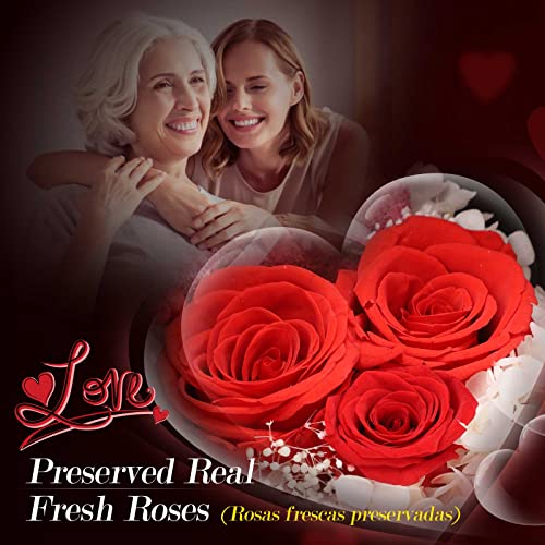 Preserved Real Rose Gift Set with I Love You Projection Necklace for Mom