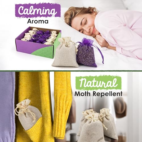 Natural Cedar and Lavender Sachets for Closets and Drawers, 50 Pack