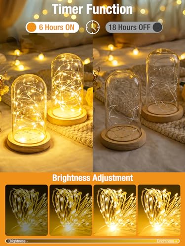 btfarm 4 Pack LED Fairy Lights Battery Operated 16FT Warm White