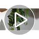 Artificial Pothos Hanging Plants - 33-Inch Faux Ivy Vines with Pots (Set of 2)