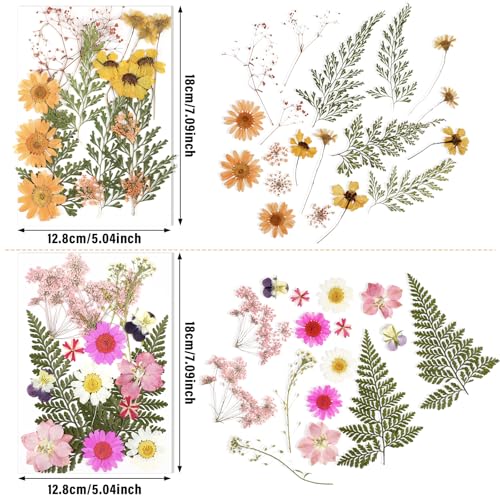 Natural Dried Pressed Flowers Set with Tweezers for Epoxy Resin Crafts (68 Pcs)