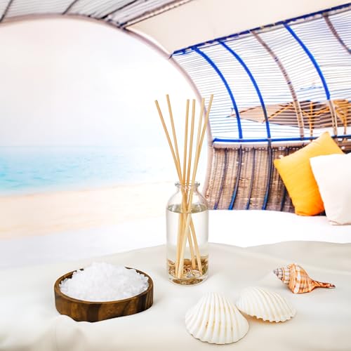 Ocean Mist & Sea Salt Reed Diffuser Set with Essential Oils and Seashells