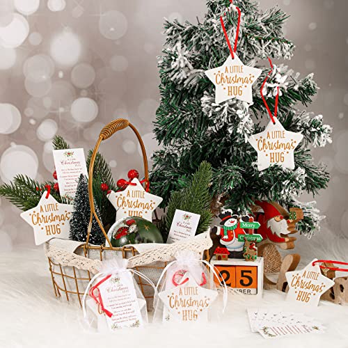 Sieral 72 Pcs Christmas Ornaments Gifts Bulk – Star Style (24 pcs each: ornaments, cards, organza bags)