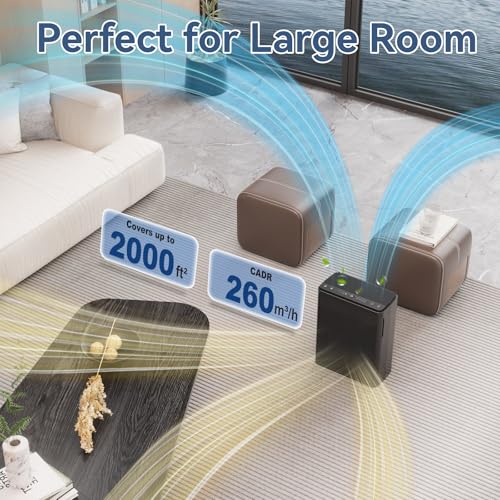 Large Room Air Purifier for Home with H13 HEPA Filter, Black