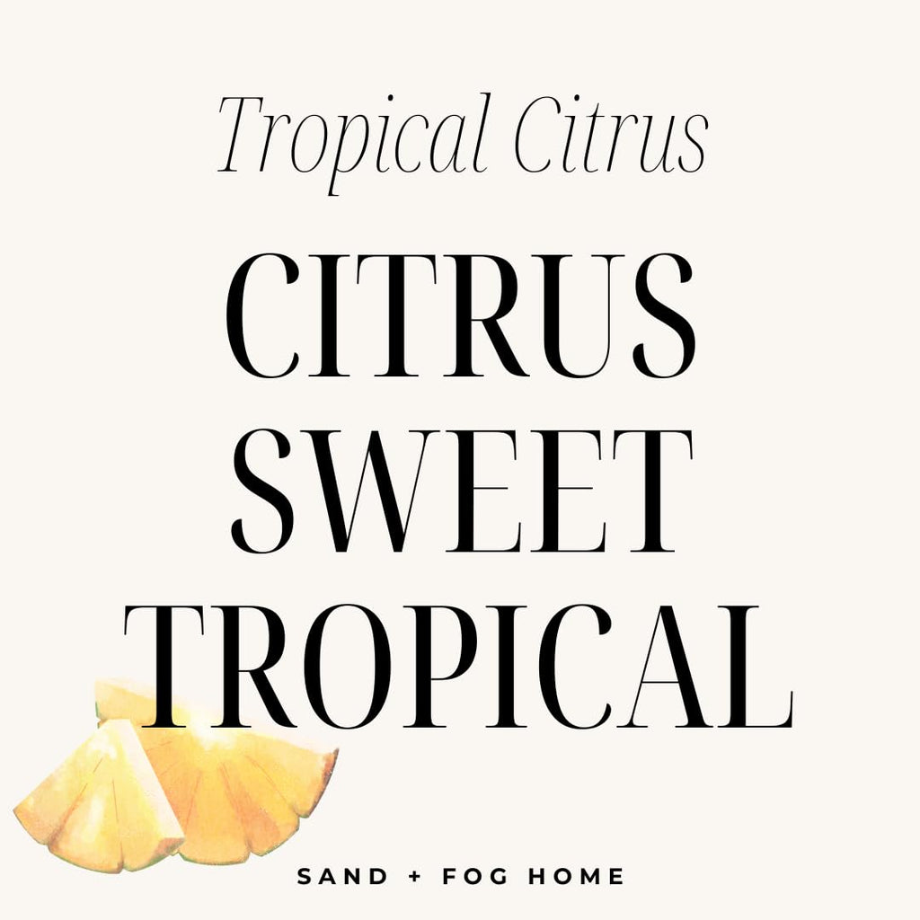 Sand + Fog Scented Candle - Tropical Citrus Additional Scents and Sizes 100% Cotton Lead-Free Wick Luxury Air Freshening Jar Candles Perfect Home Decor for Your Cocktail Table 34 oz, Orange,Violet