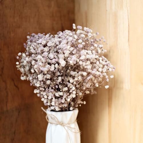 120 Pcs Mini Dried Baby's Breath Flowers, Ivory Gypsophila for DIY Crafts