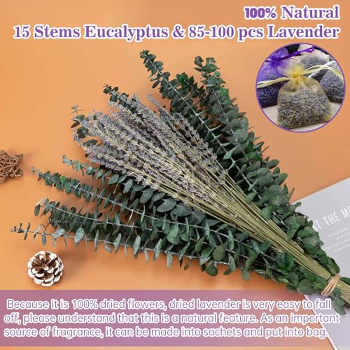 Dried Eucalyptus Stems & Lavender Flower Bundles for Shower, 17 Inch (2 Pack)