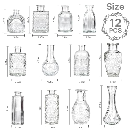 Clear Glass Bud Vase Set of 12 - Small Flower Vases for Table Centerpieces
