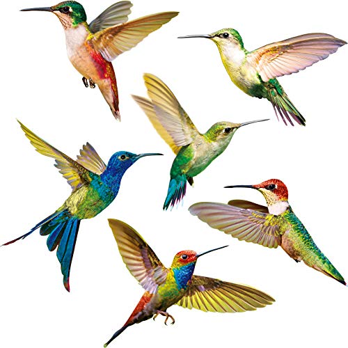 Hummingbird Window Decals - 6 Pack Colorful Anti-Collision Stickers