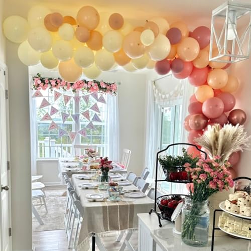 Togvu Retro Blush Pink Balloons 60 Pack 12 Inch Latex Party Balloons