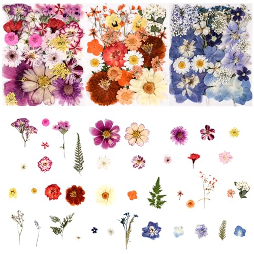 110 Pcs Real Dried Pressed Flowers & Leaves Set for Resin Crafts & DIY