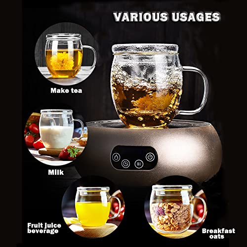 17 oz Glass Tea Cup with Infuser & Lid - Clear Loose Leaf Mug for Hot & Cold Beverages
