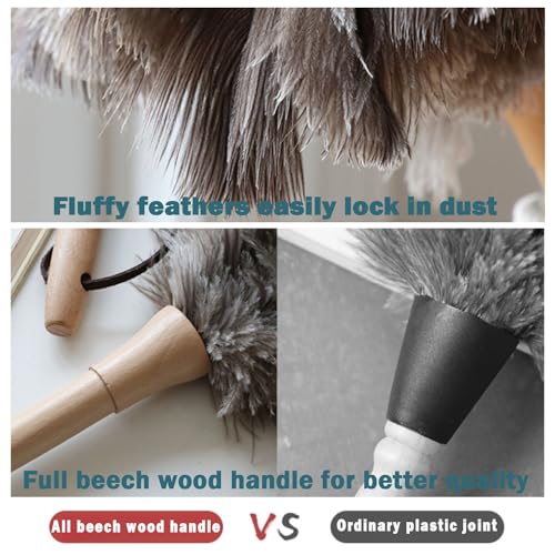 Natural Ostrich Feather Duster with Wooden Handle, 16" Soft Cleaning Brush