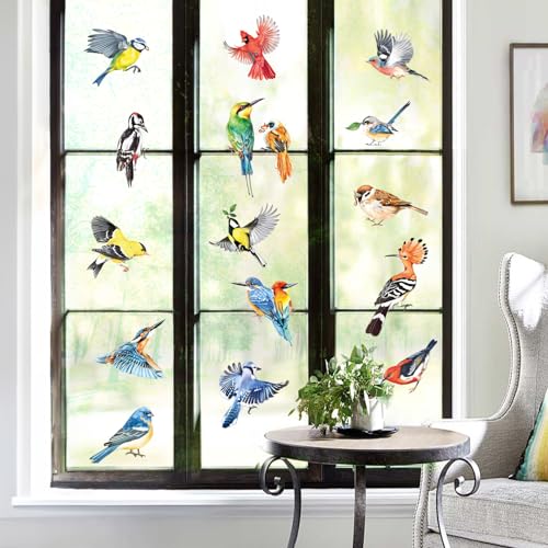 Colorful Birds Window Clings - Hummingbird & Parrot Decals