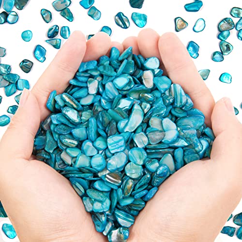 Natural Crushed Shell Chips for Crafts & Vase Fillers - Light Blue (1 lb)