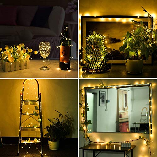 Warm White Fairy String Lights - 10ft 30 LED Battery Powered Silver Wire