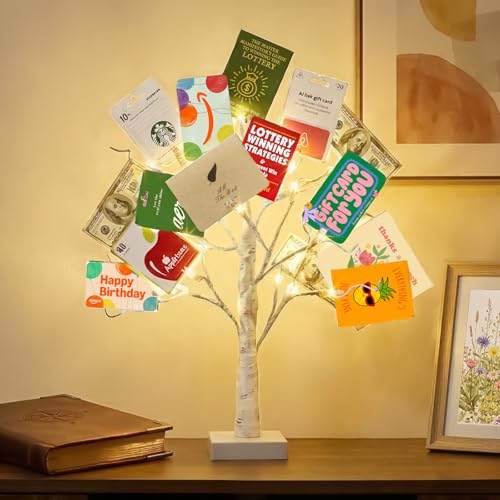 Lighted Birch Money Tree Gift Holder with Clips & Cards - 2FT